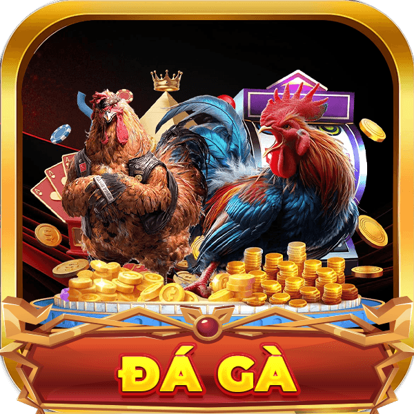 Đá gà ao88